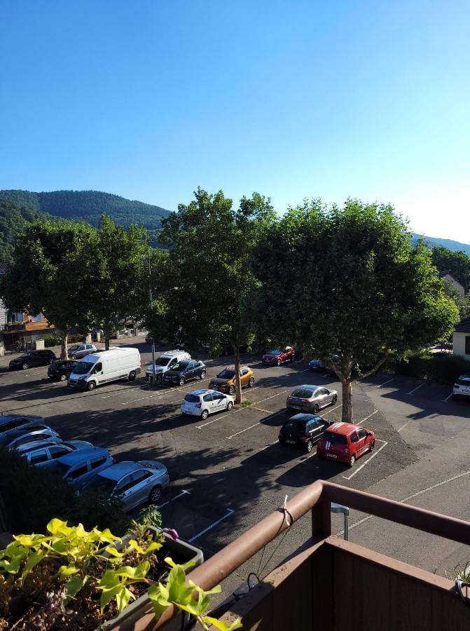 Appartement Au Cigogneau Wifi-Netflix-Balcon-Parking Munster  Exterior photo